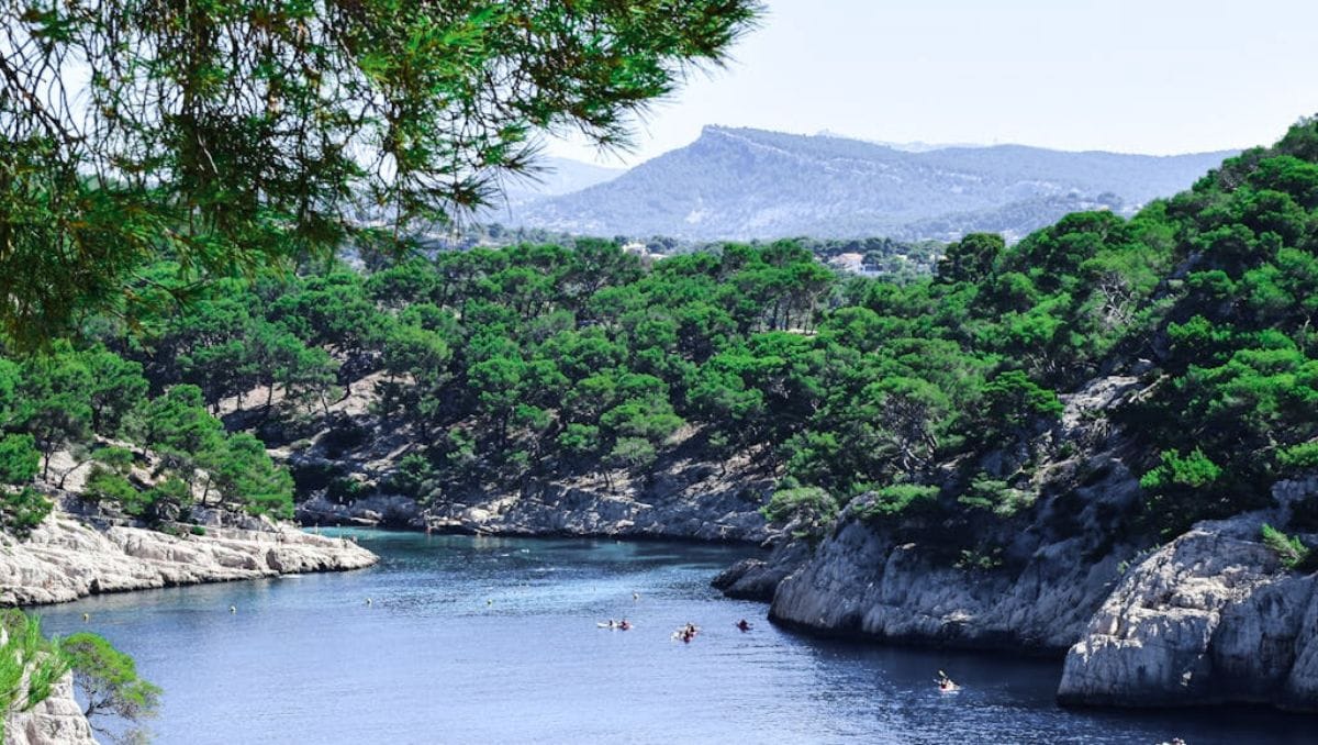 Best things to do in Nice Scenic View of Calanques in Provence-Alpes-Côte d'Azur