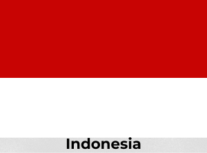 Indonesia Flag - Travel Guides
