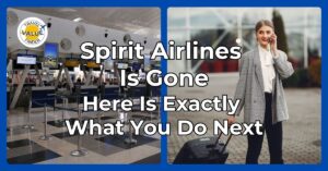 Spirit Airlines shutdown 2026 - A complete guide to refunds, rescue fares, and airfare impact